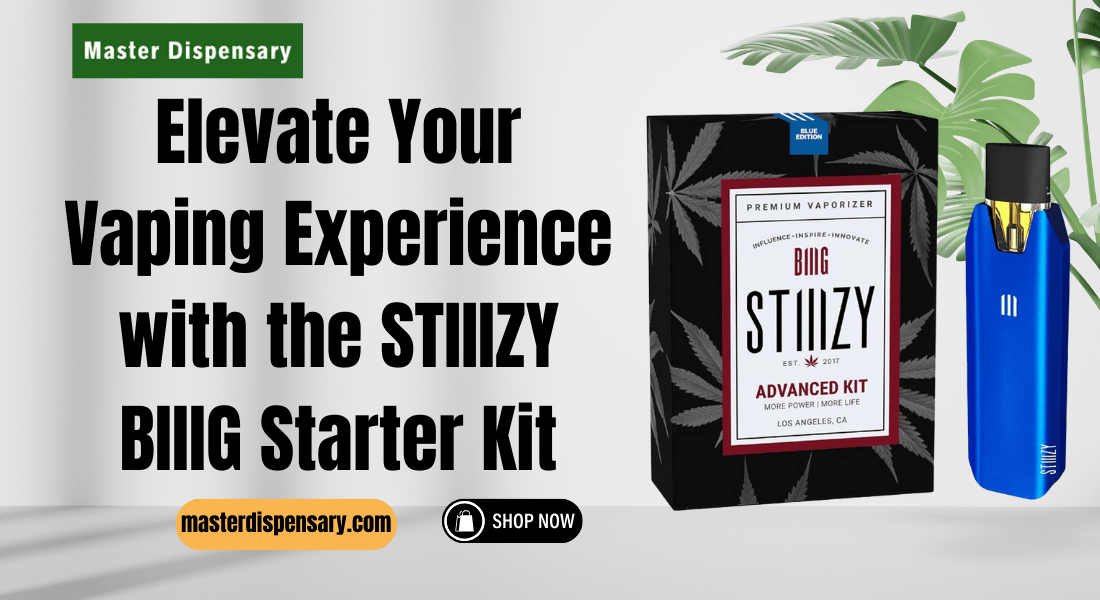 STIIIZY BIIIG Starter Kit – Premium Battery & Vaporizer | Master Dispensary