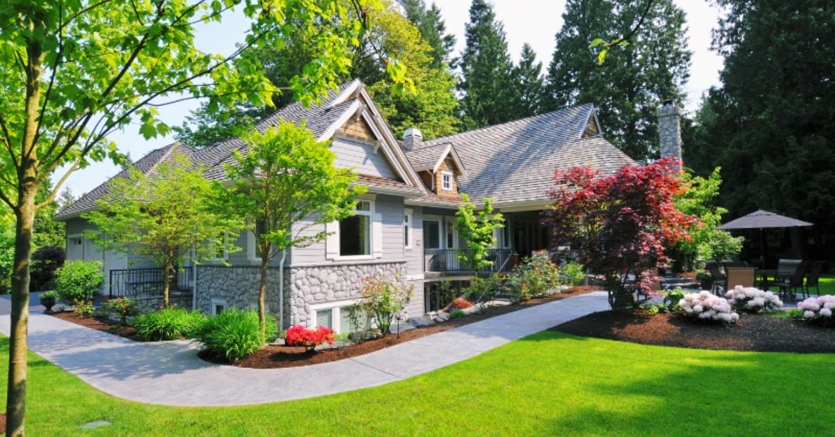 Know 13 Tree Service Tips to Protect Your Trees from Drought Today