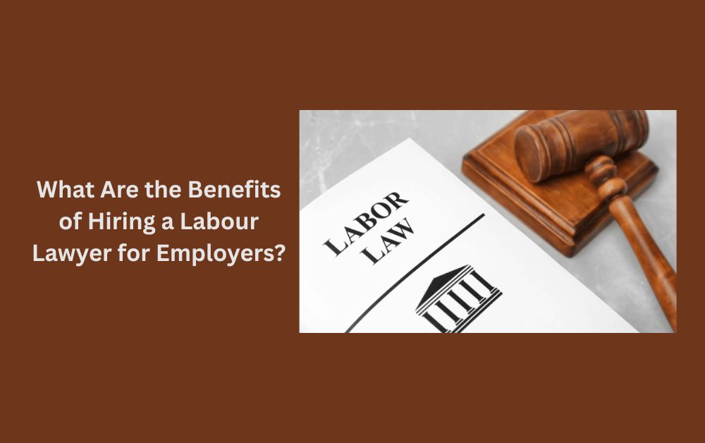 What Are the Benefits of Hiring a Labour Lawyer for Employers?