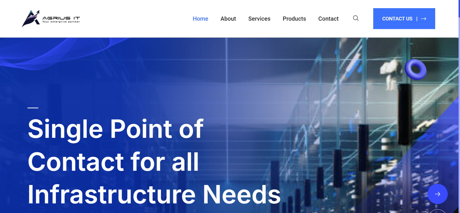 Can You Rely on Agrius IT for Multi-Vendor TPM in 2025?