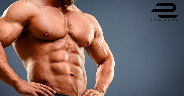Buy Steroids Online vs In-Store Which Option Is Better?